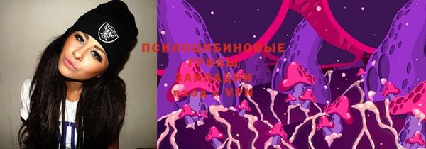 индика Армянск