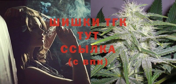 PSILOCYBIN Аркадак