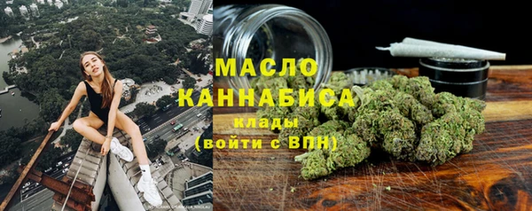 индика Армянск