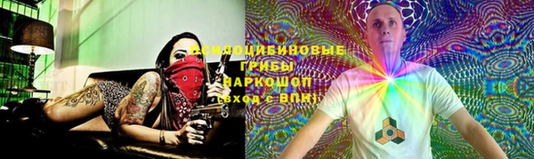 индика Армянск