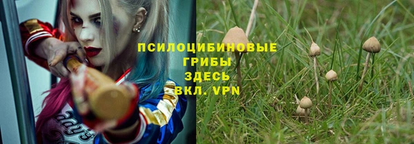 индика Армянск