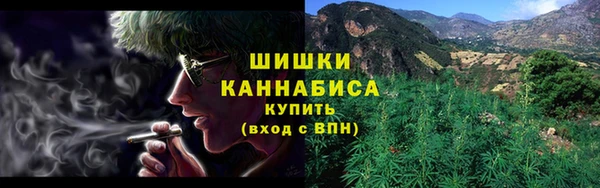 мет Арсеньев
