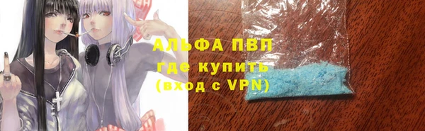 PSILOCYBIN Аркадак