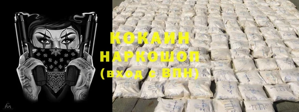 индика Армянск