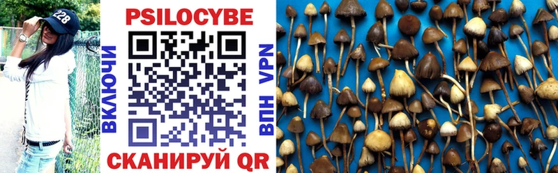 Галлюциногенные грибы прущие грибы  закладка  Голицыно 